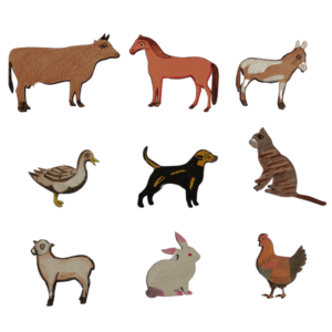 Farm Animals - Bonjoy Fashion and Decor - Coloured